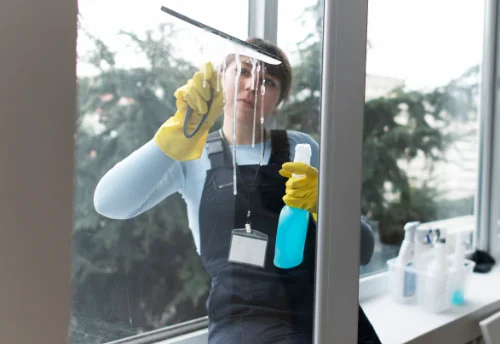 Nettoyage de vitres intérieures et extérieures à Bosroger